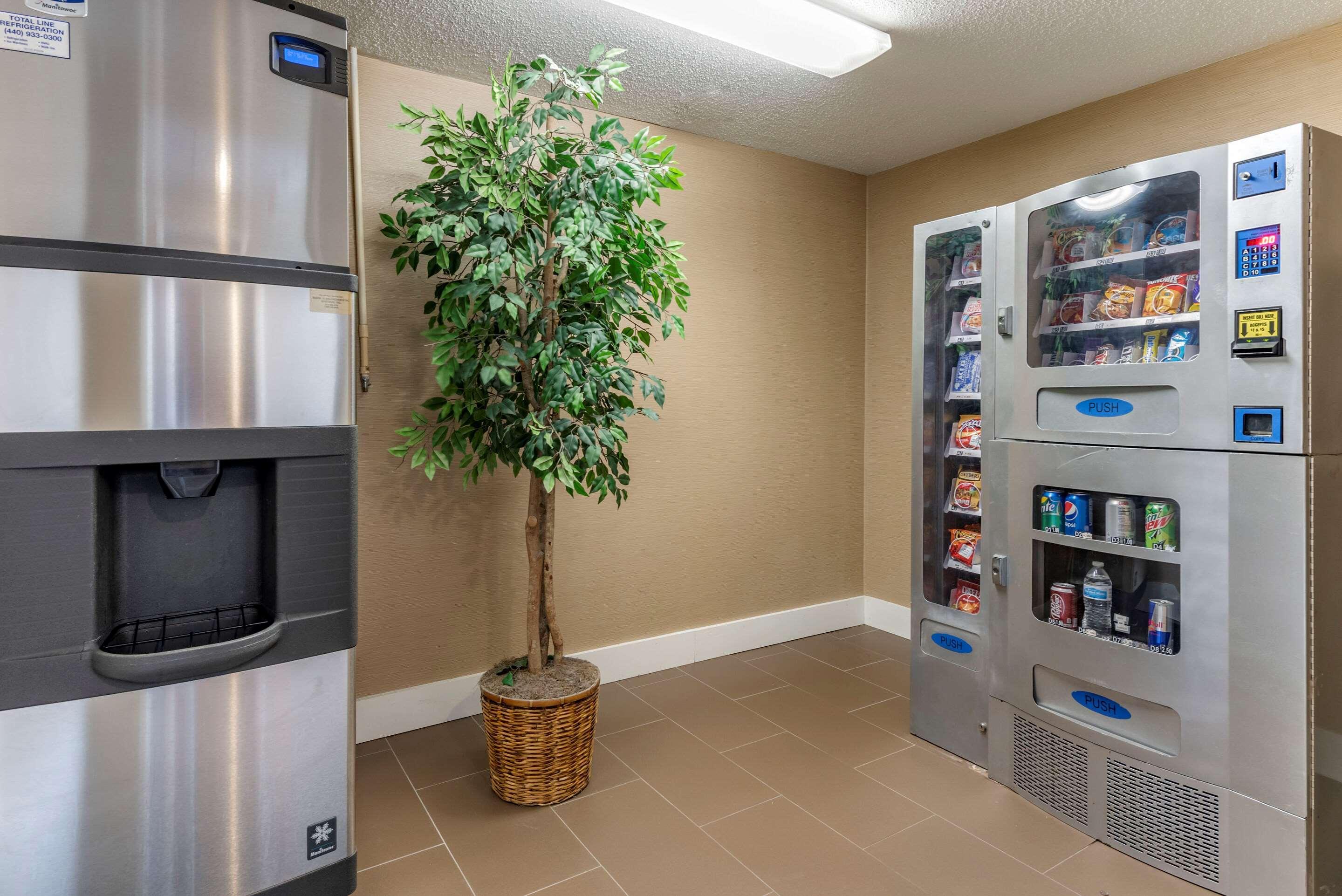 Comfort Inn Madison Ngoại thất bức ảnh