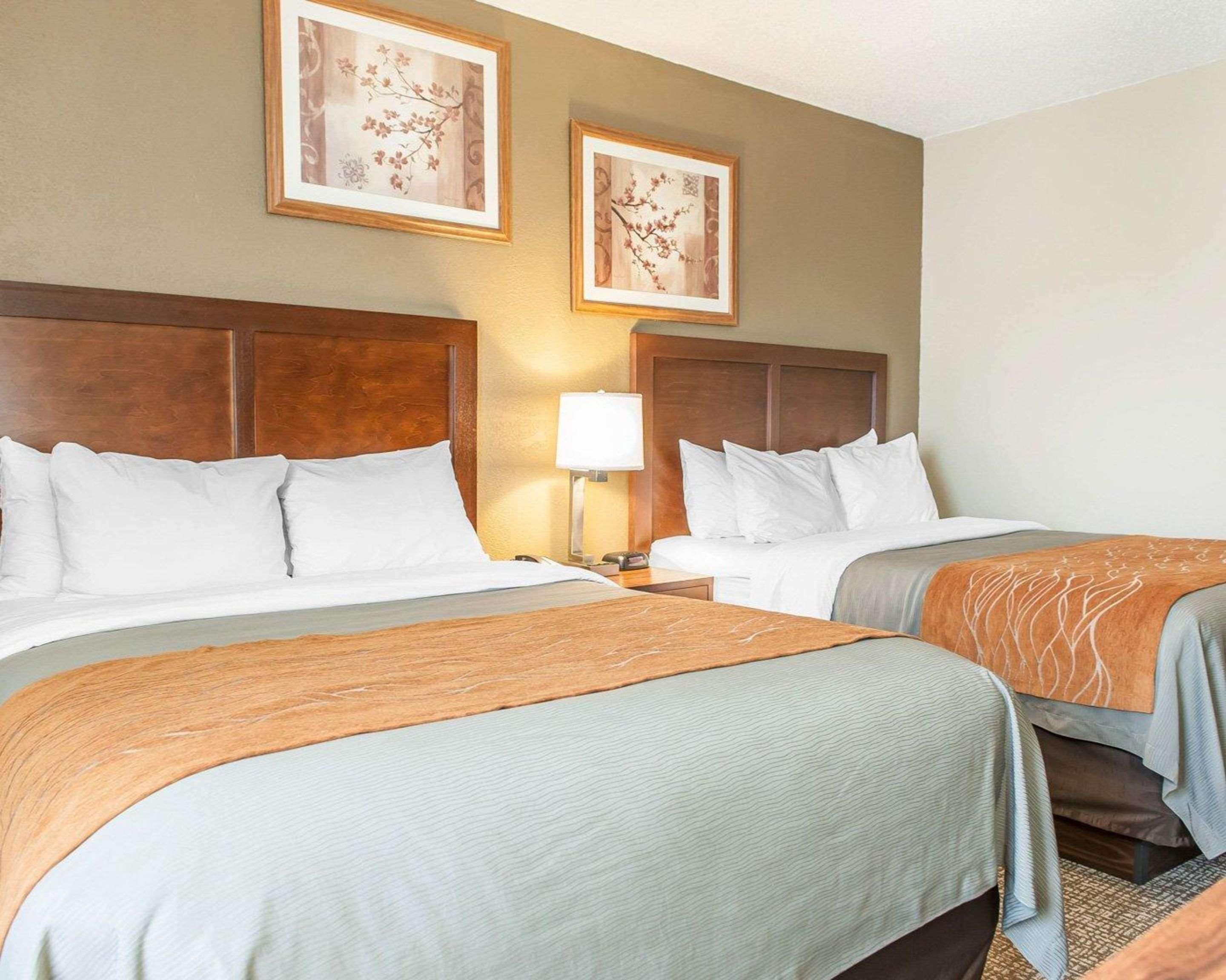 Comfort Inn Madison Ngoại thất bức ảnh
