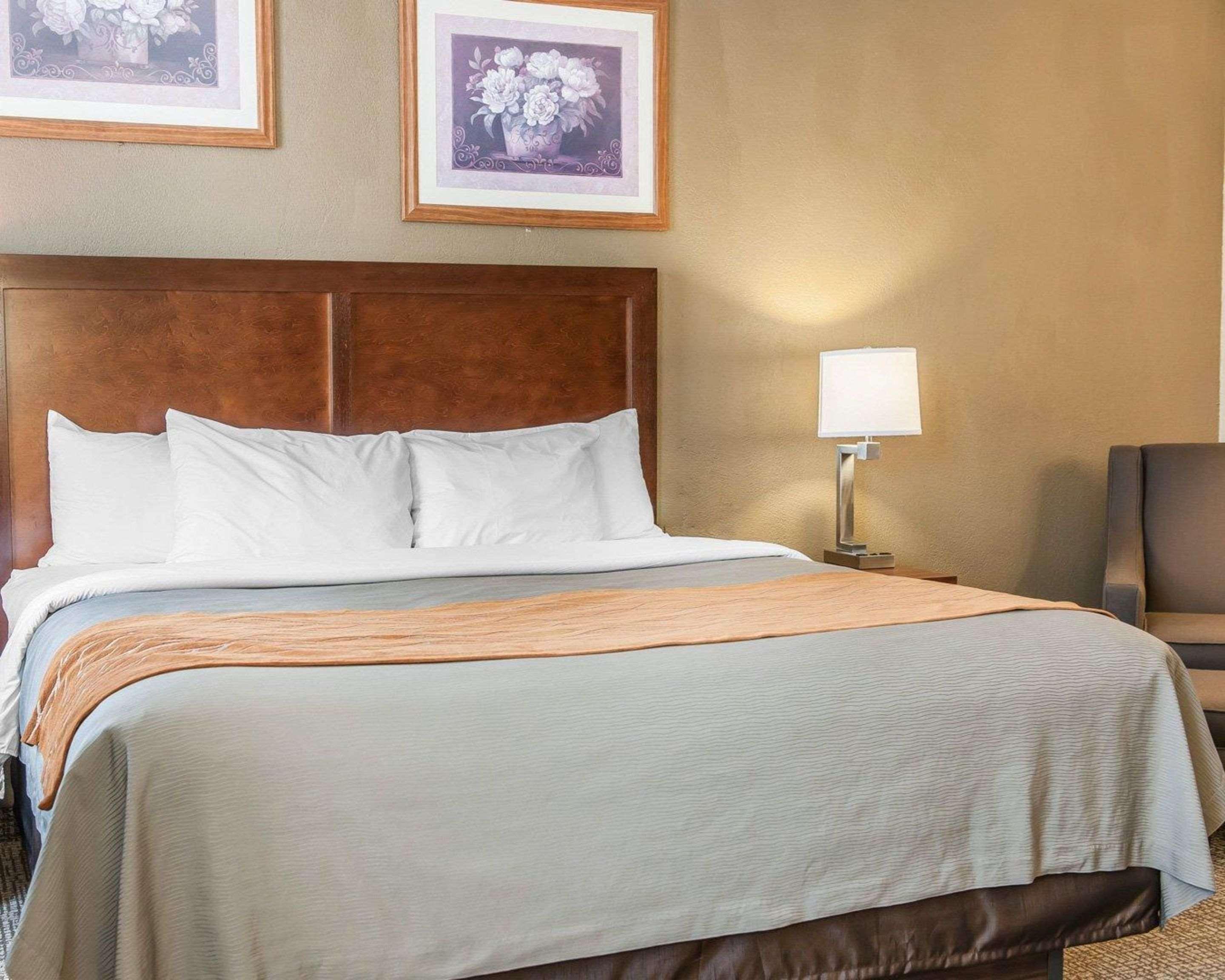 Comfort Inn Madison Ngoại thất bức ảnh