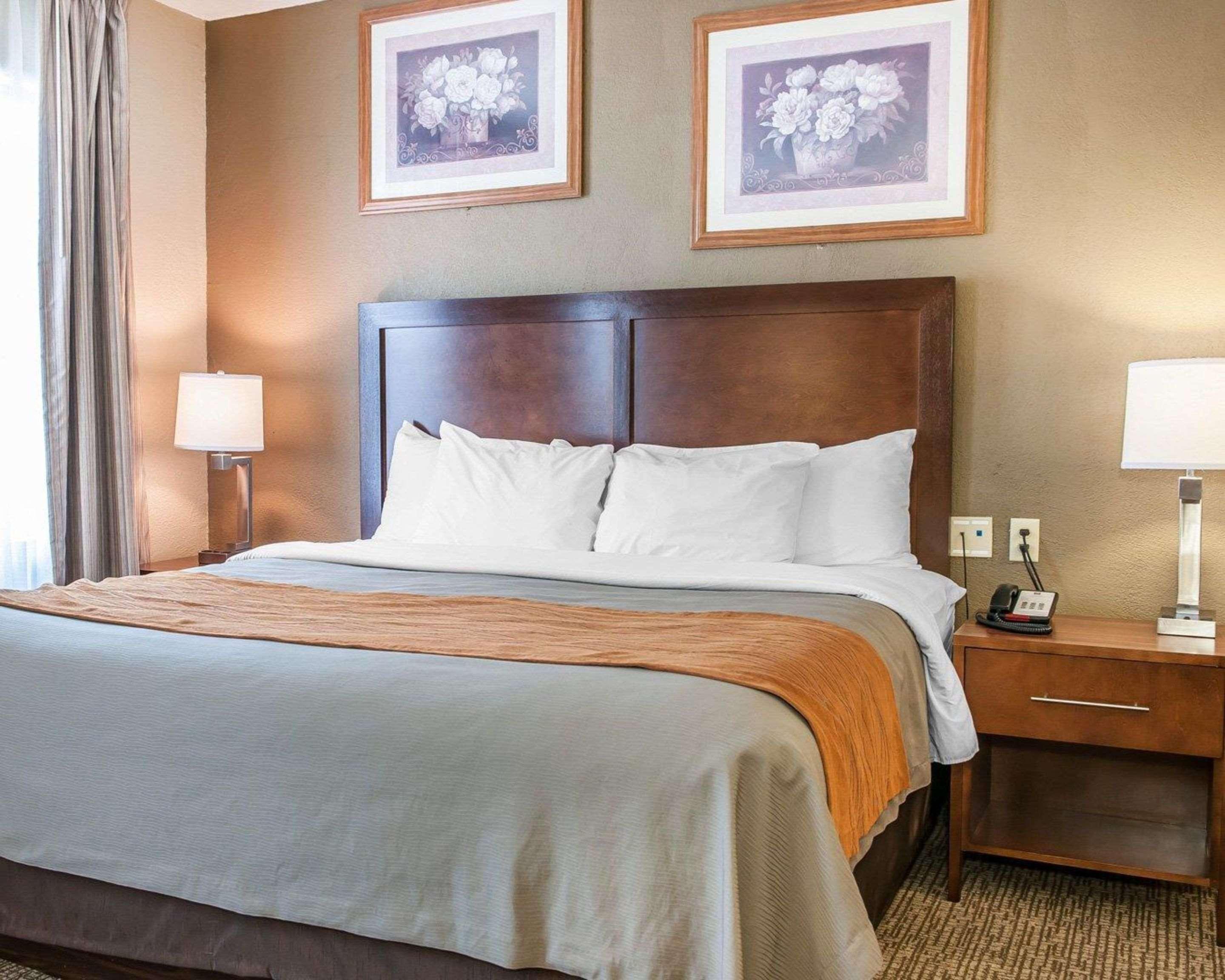 Comfort Inn Madison Ngoại thất bức ảnh