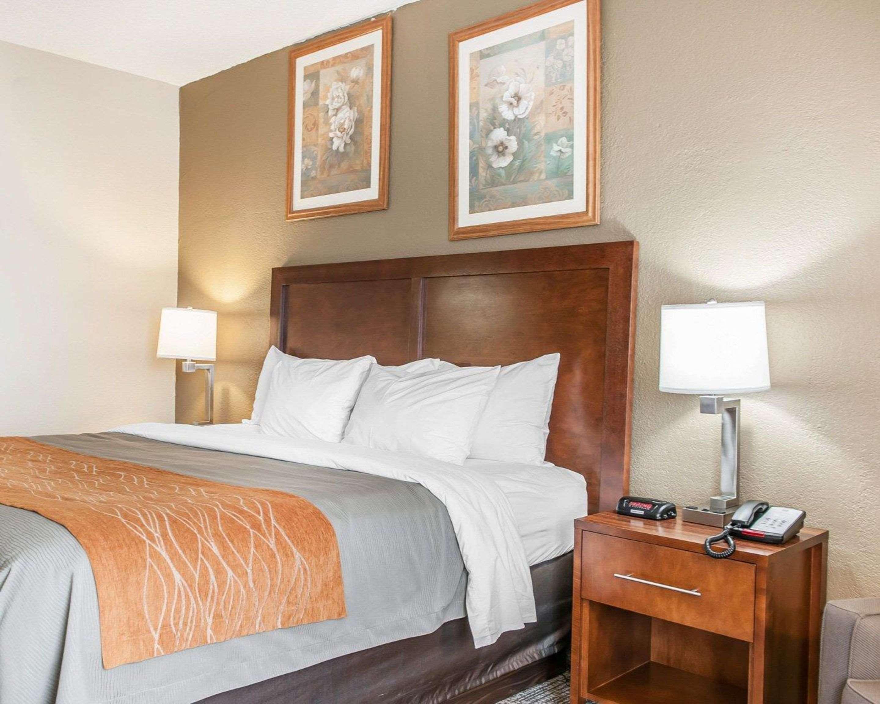 Comfort Inn Madison Ngoại thất bức ảnh